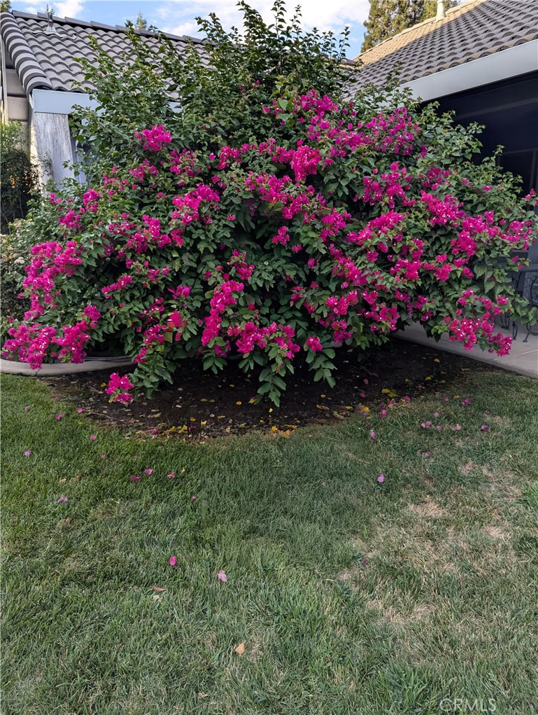 3947 Finch Ct, Merced, CA 95340