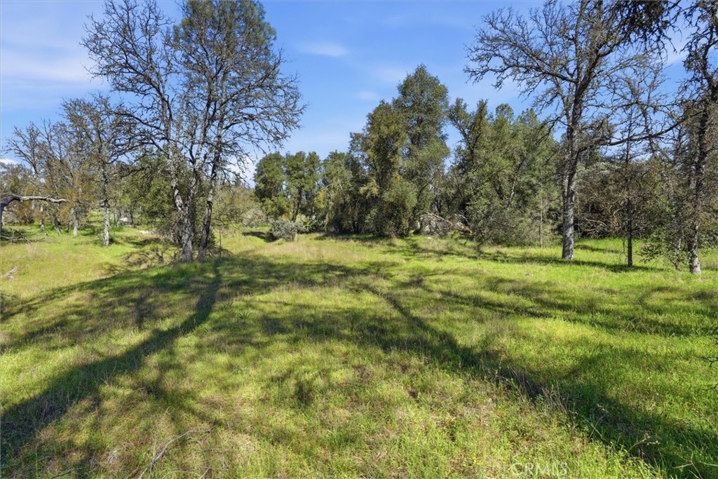 4251 Burl, Mariposa, CA 95338