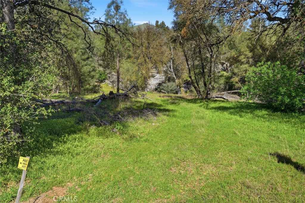 4251 Burl, Mariposa, CA 95338