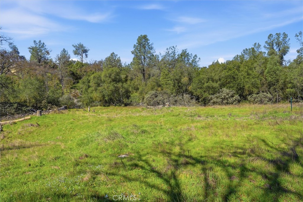 4251 Burl, Mariposa, CA 95338