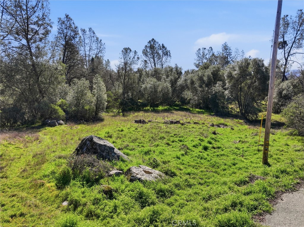 4251 Burl, Mariposa, CA 95338