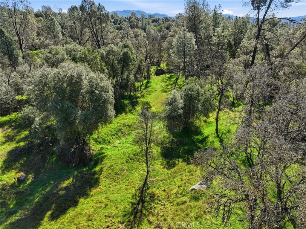 4251 Burl, Mariposa, CA 95338