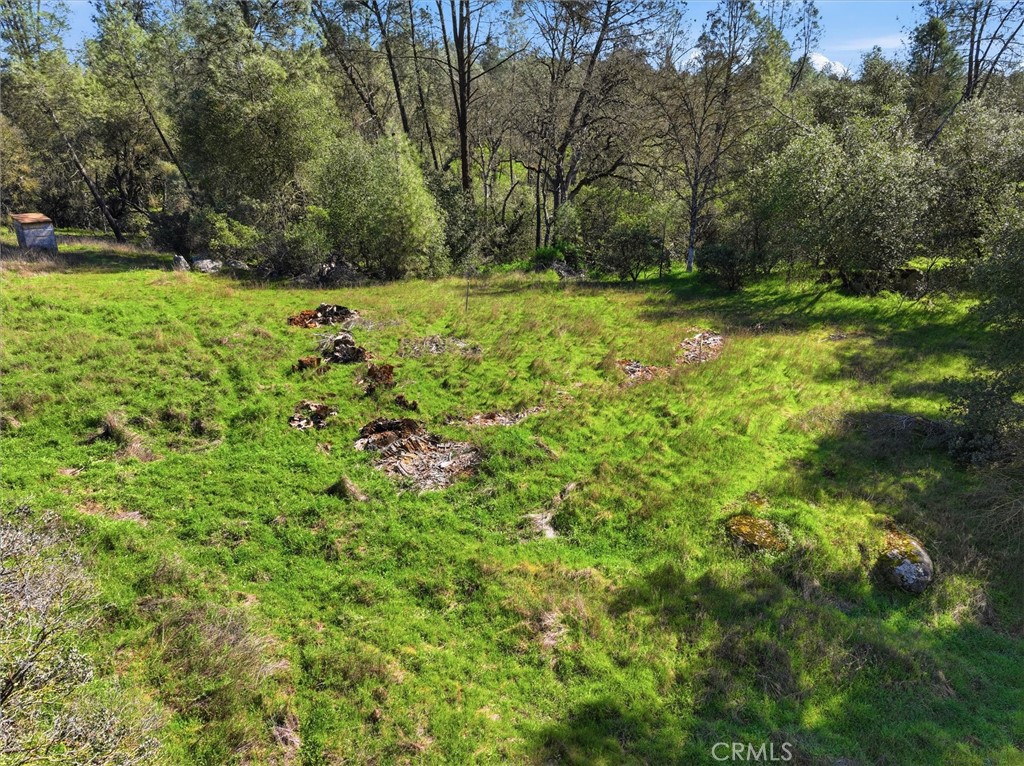 4251 Burl, Mariposa, CA 95338