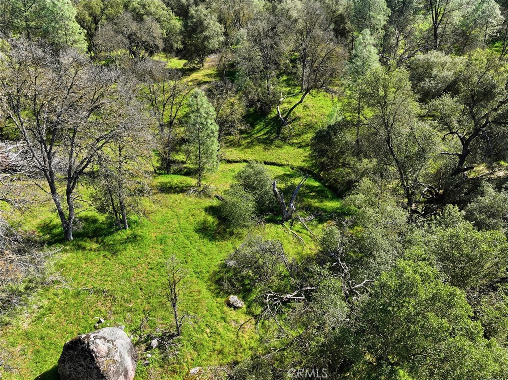 4251 Burl, Mariposa, CA 95338