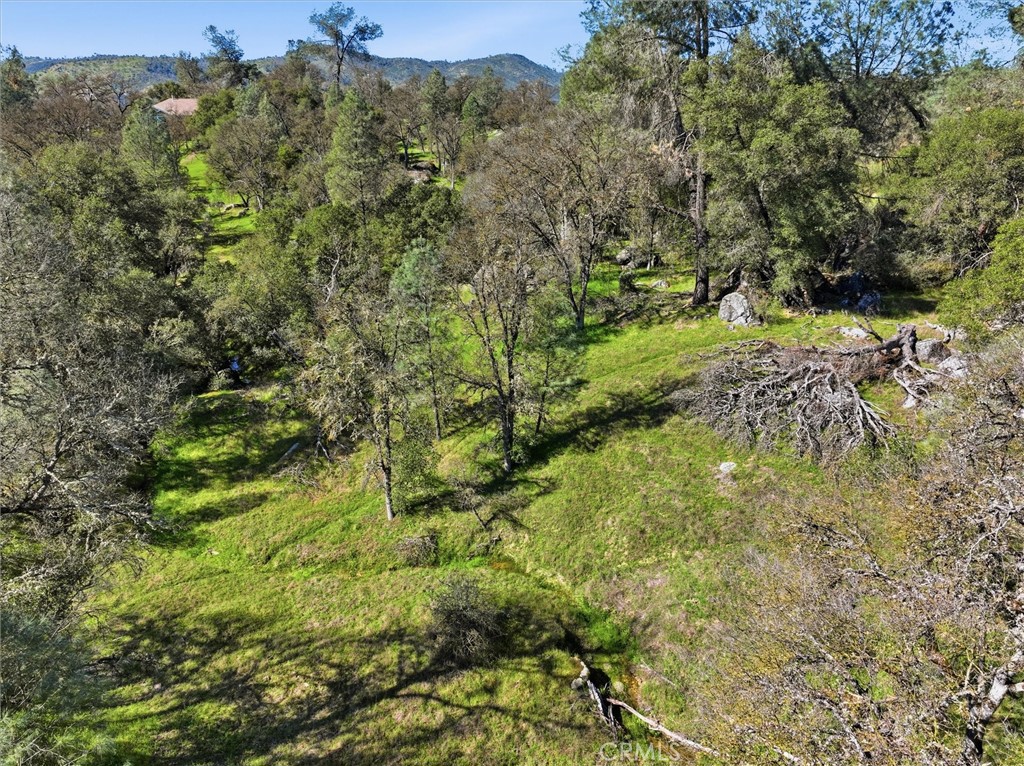 4251 Burl, Mariposa, CA 95338