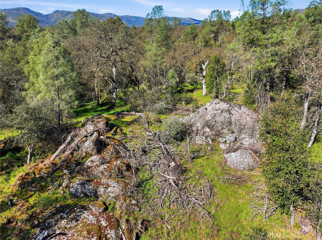 4251 Burl, Mariposa, CA 95338
