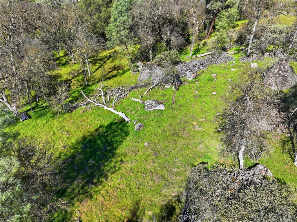 4251 Burl, Mariposa, CA 95338