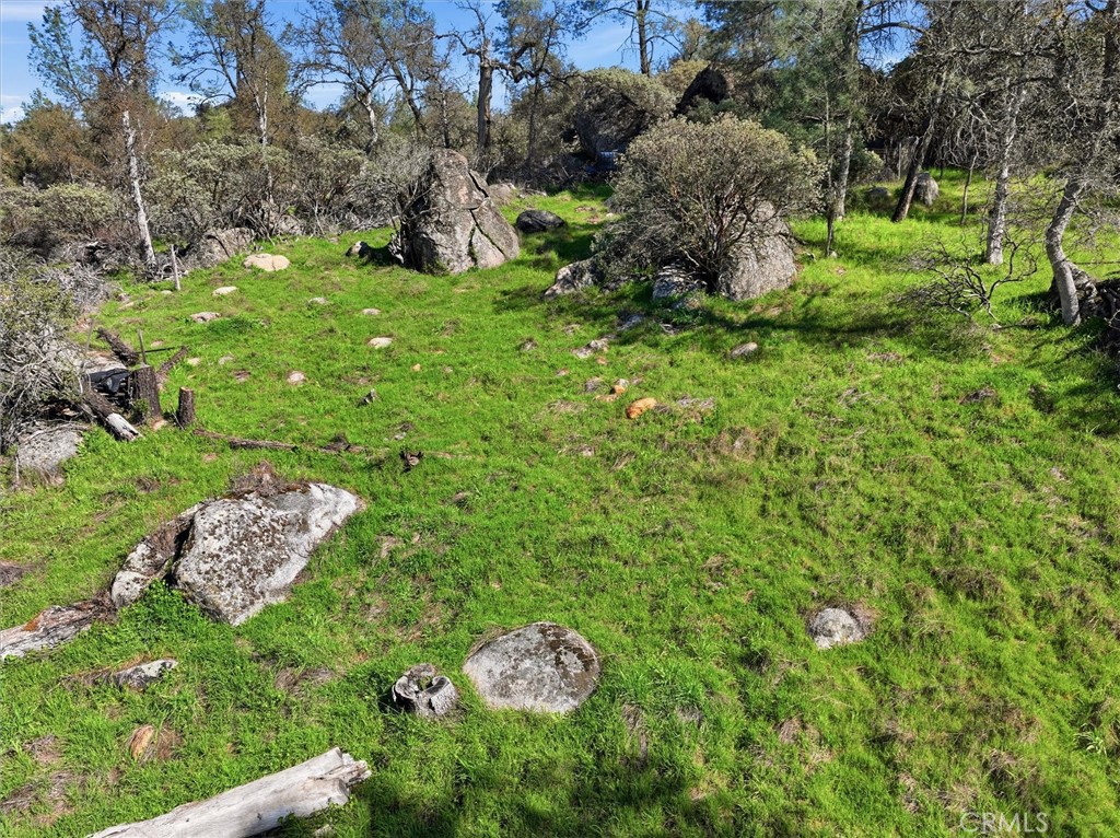 4251 Burl, Mariposa, CA 95338