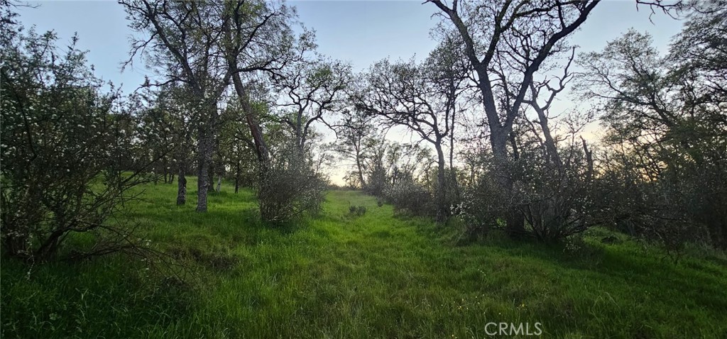 9145 Hunters Valley, Mariposa, CA 95338