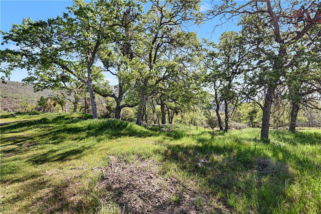 5612 Gold Creek, Mariposa, CA 95338