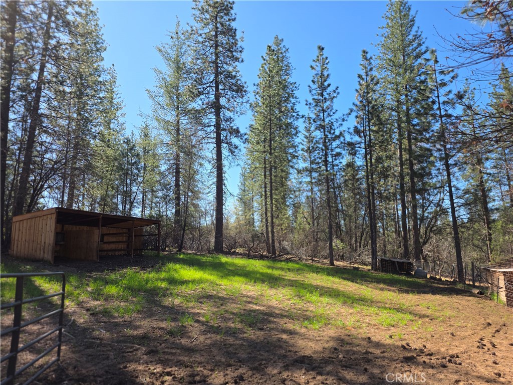 1151 Gorley Ln, Mokelumne Hill, CA 95245