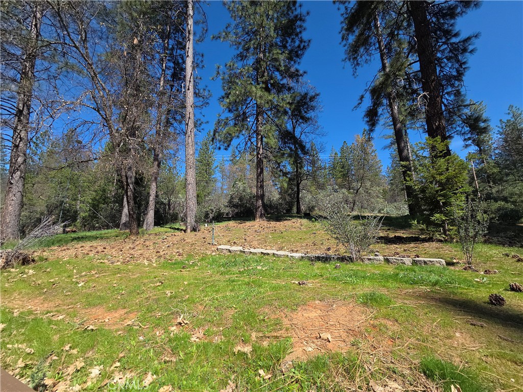 1151 Gorley Ln, Mokelumne Hill, CA 95245