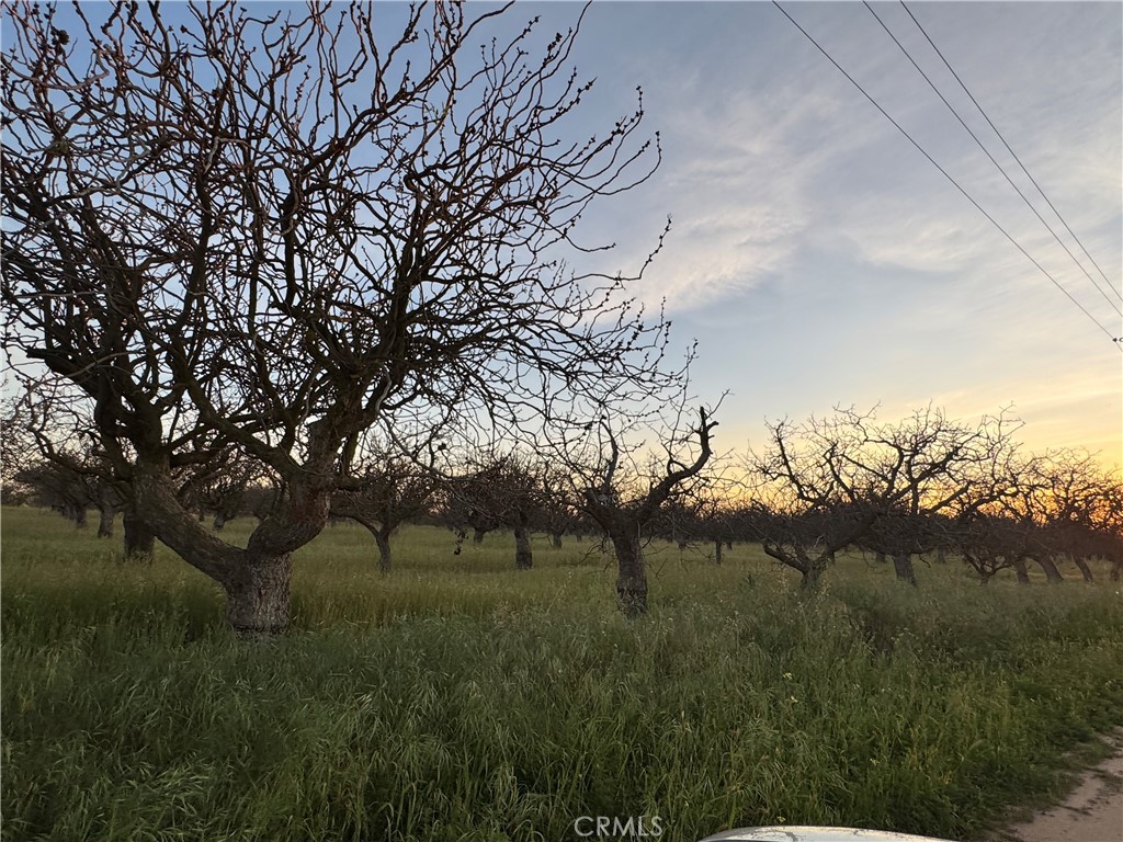 0 Road 30, Madera, CA 93638
