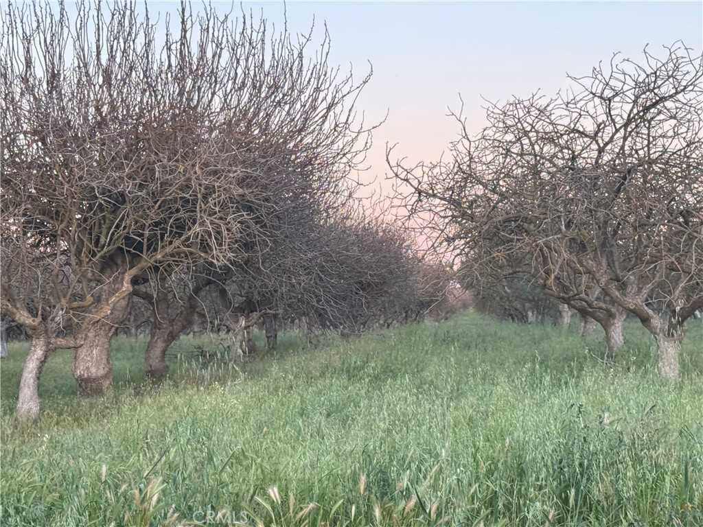 0 Road 30, Madera, CA 93638