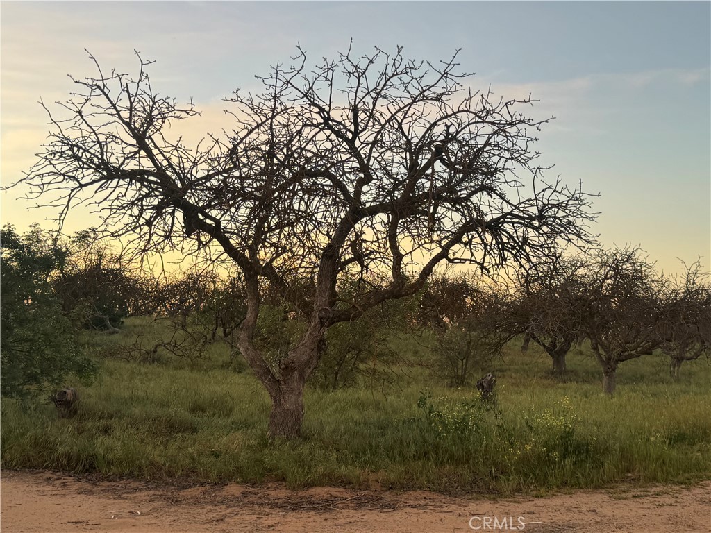 0 Road 30, Madera, CA 93638