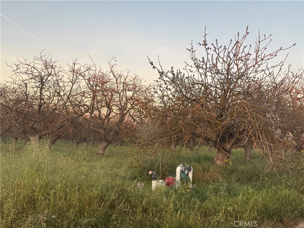 0 Road 30, Madera, CA 93638