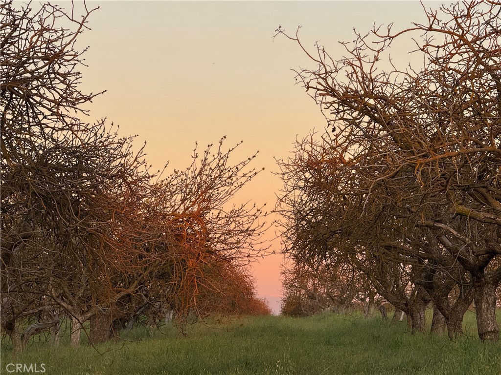 0 Road 30, Madera, CA 93638