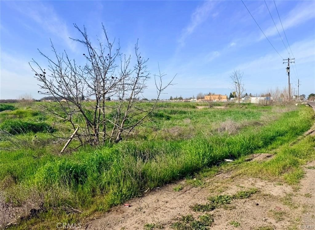 8 Gerard, Le Grand, CA 95333