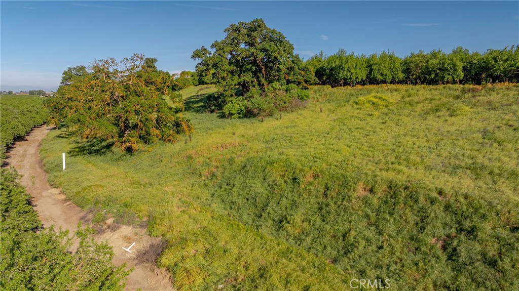 0 Livingston Cressey Rd, Livingston, CA 95334