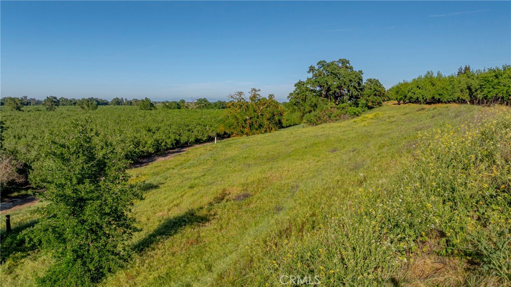 0 Livingston Cressey Rd, Livingston, CA 95334