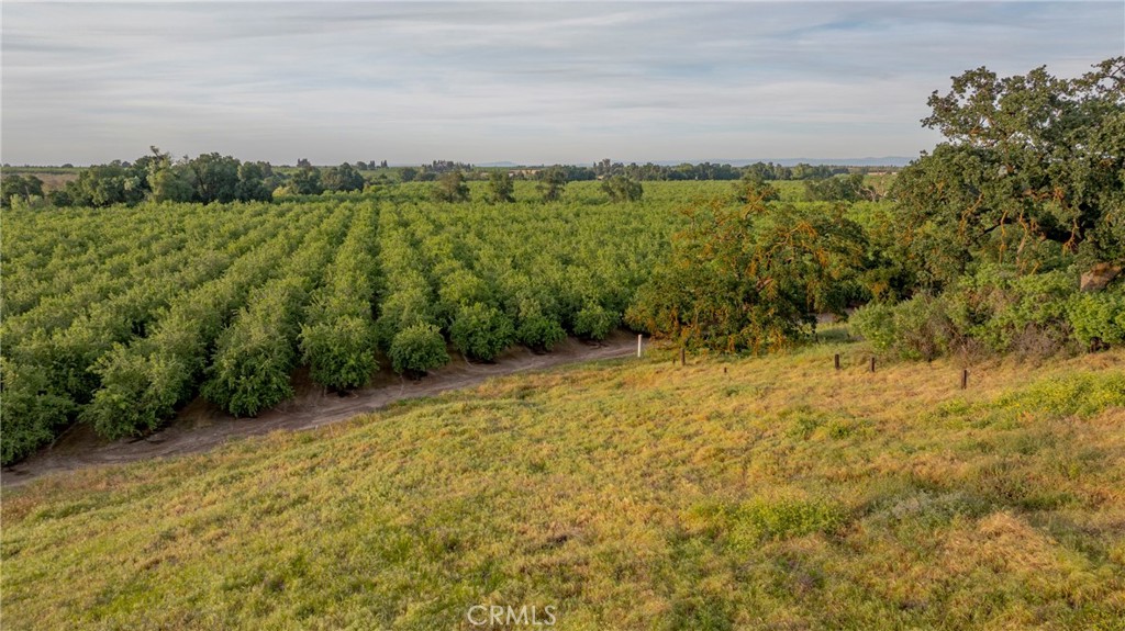 0 Livingston Cressey Rd, Livingston, CA 95334