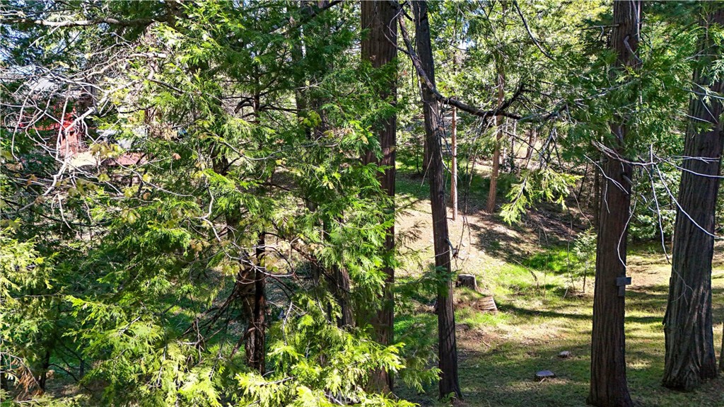 19388 Poplar, Twain Harte, CA 95383