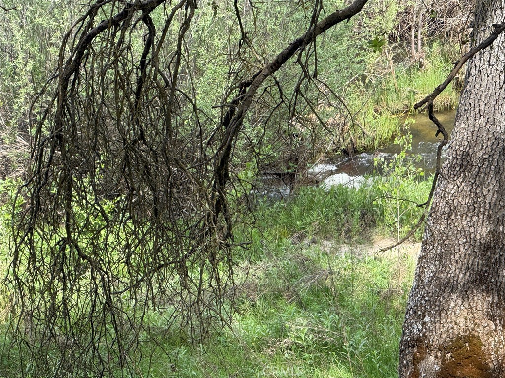 31578 Road 400, Coarsegold, CA 93614