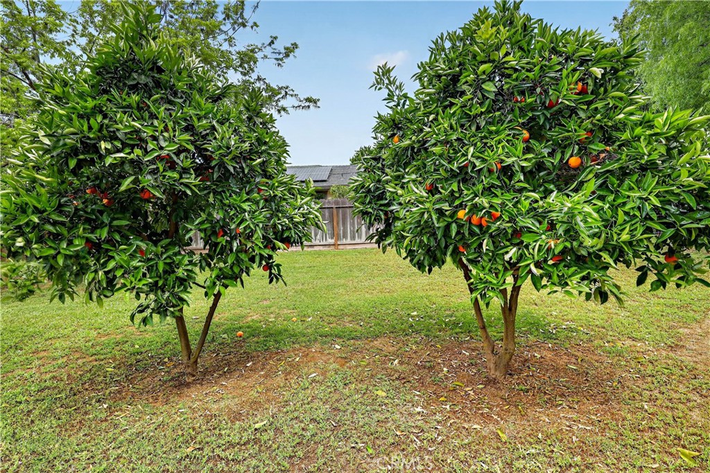 3276 E Olive Ave, Merced, CA 95340