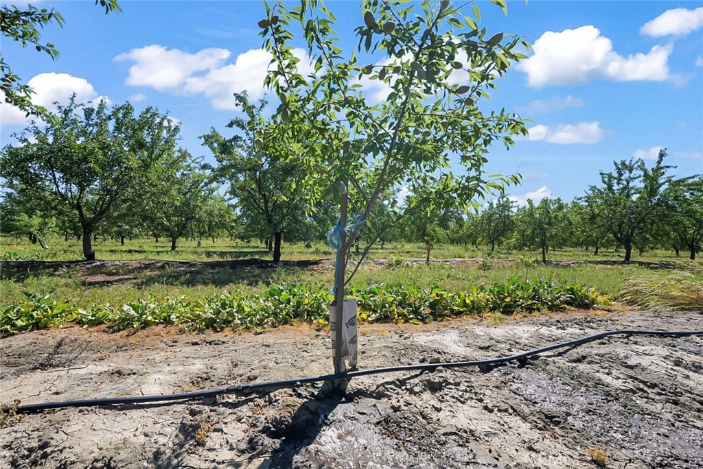 0 Buchanan Hollow Rd, Le Grand, CA 95333