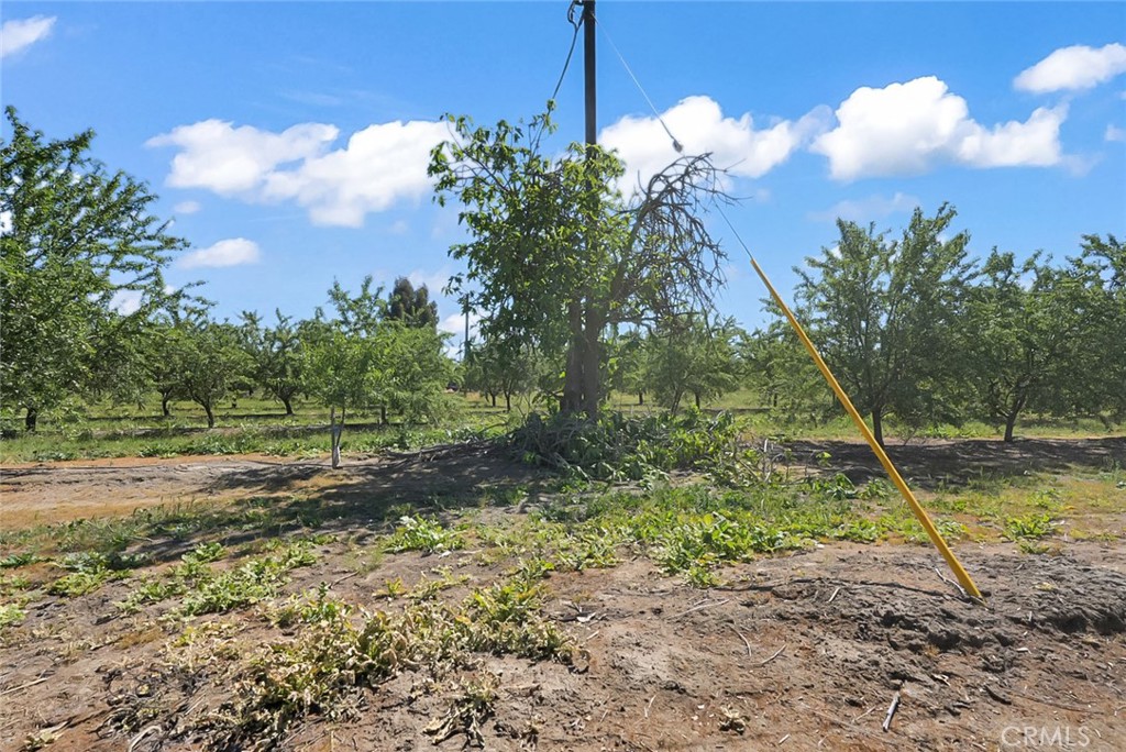 0 Buchanan Hollow Rd, Le Grand, CA 95333