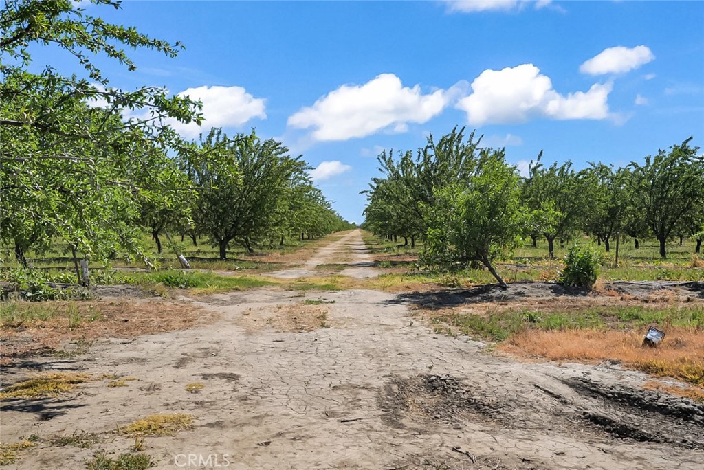 0 Buchanan Hollow Rd, Le Grand, CA 95333