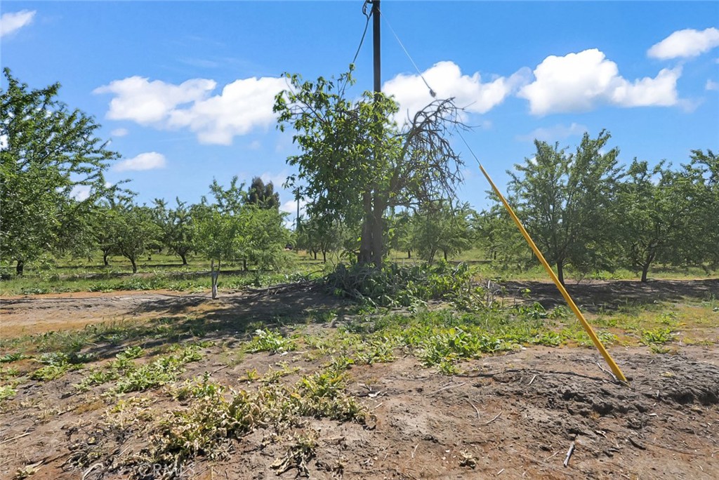 0 Buchanan Hollow Rd, Le Grand, CA 95333