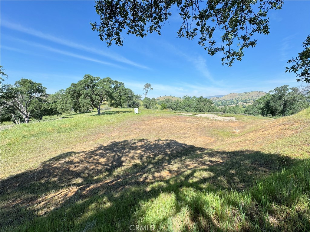 3295 Blue Oak Dr, Catheys Valley, CA 95306