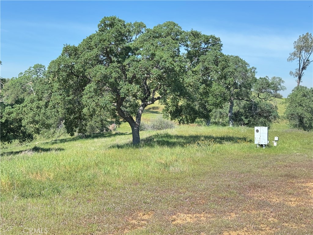 3295 Blue Oak Dr, Catheys Valley, CA 95306