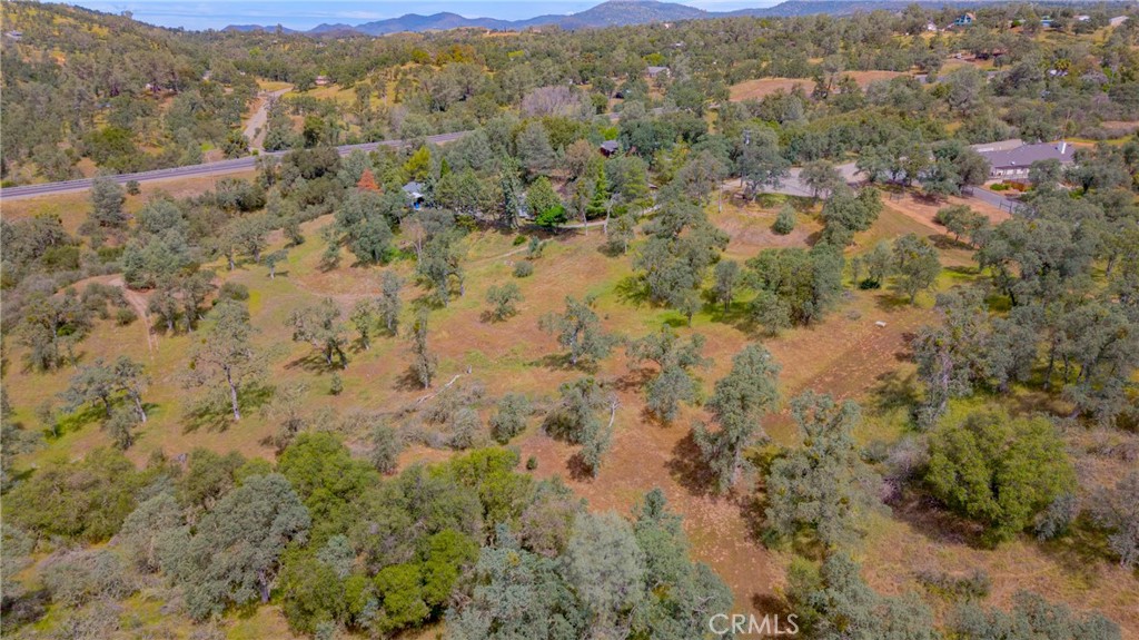 3222 Hormiga Ct, Coulterville, CA 95311
