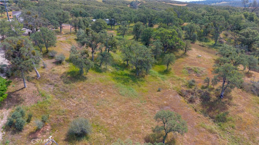 3222 Hormiga Ct, Coulterville, CA 95311