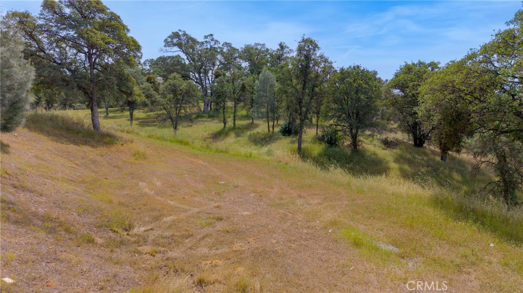 3222 Hormiga Ct, Coulterville, CA 95311