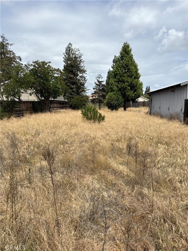 1101 E Monte Vista, Turlock, CA 95382