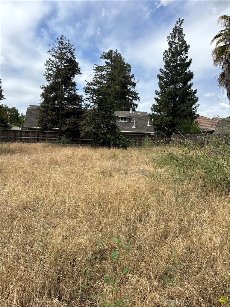 1101 E Monte Vista, Turlock, CA 95382