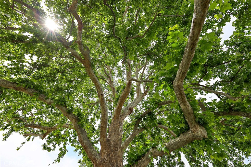 1400 N Tully Rd #121, Turlock, CA 95380