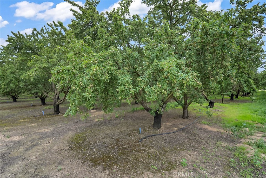 14706 Peach Ave, Livingston, CA 95334