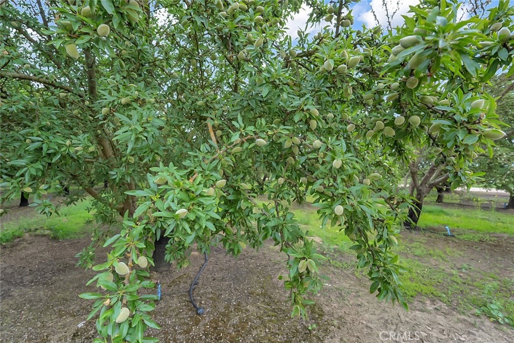 14706 Peach Ave, Livingston, CA 95334