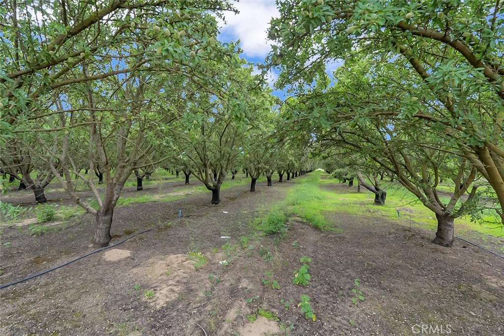 14706 Peach Ave, Livingston, CA 95334