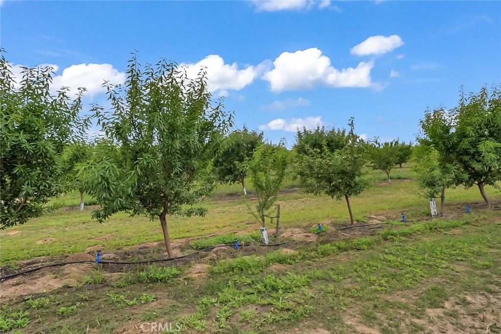 14706 Peach Ave, Livingston, CA 95334