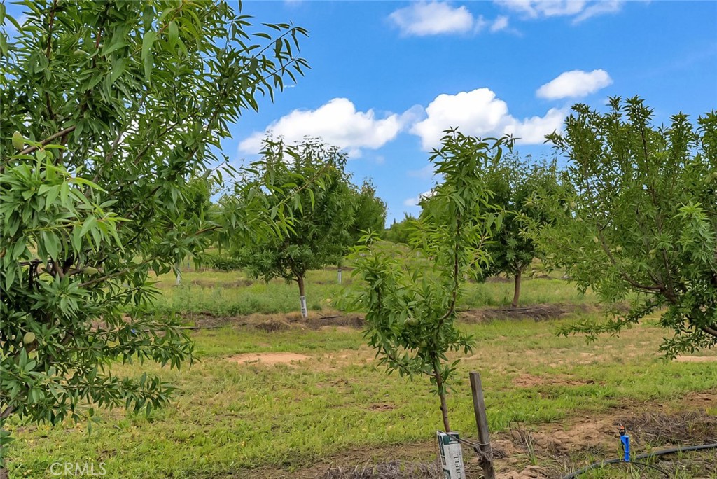 14706 Peach Ave, Livingston, CA 95334