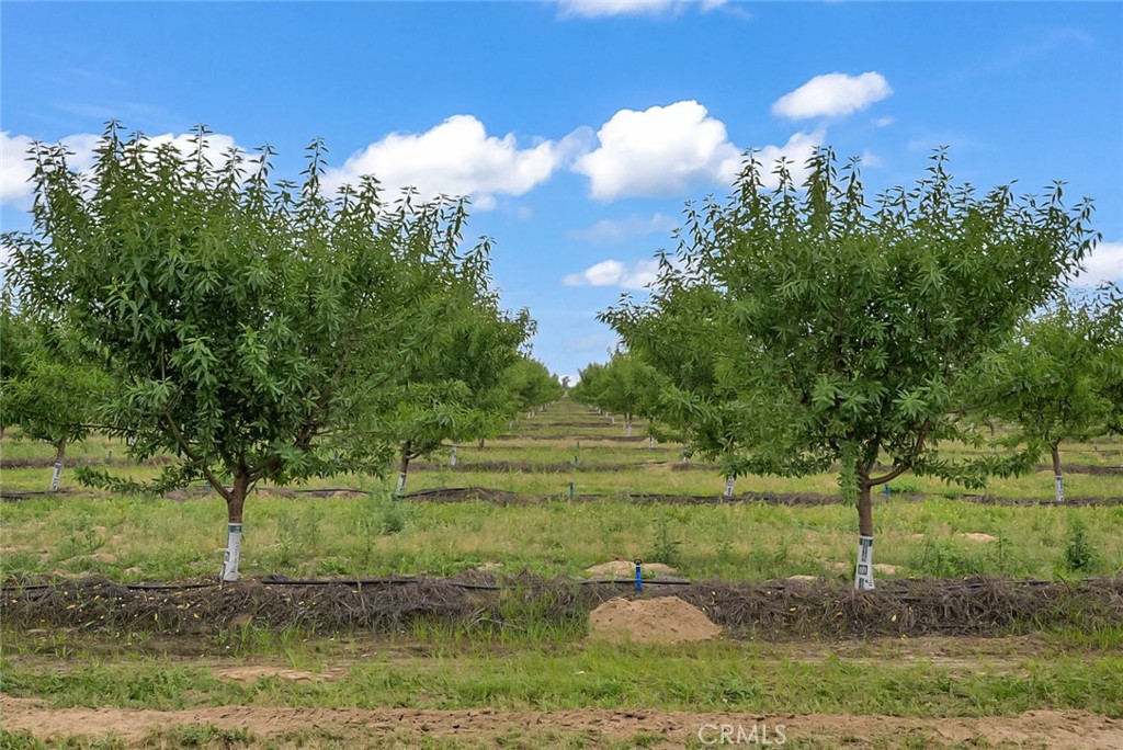 14706 Peach Ave, Livingston, CA 95334