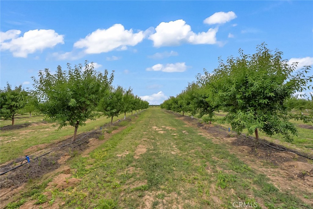 14706 Peach Ave, Livingston, CA 95334