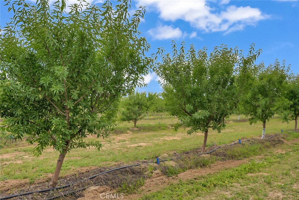 14706 Peach Ave, Livingston, CA 95334