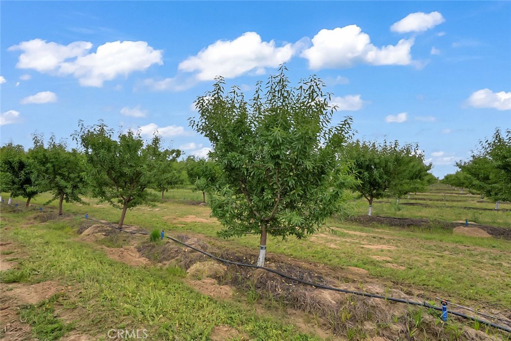 14706 Peach Ave, Livingston, CA 95334
