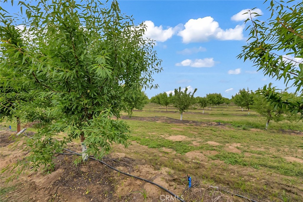 14706 Peach Ave, Livingston, CA 95334